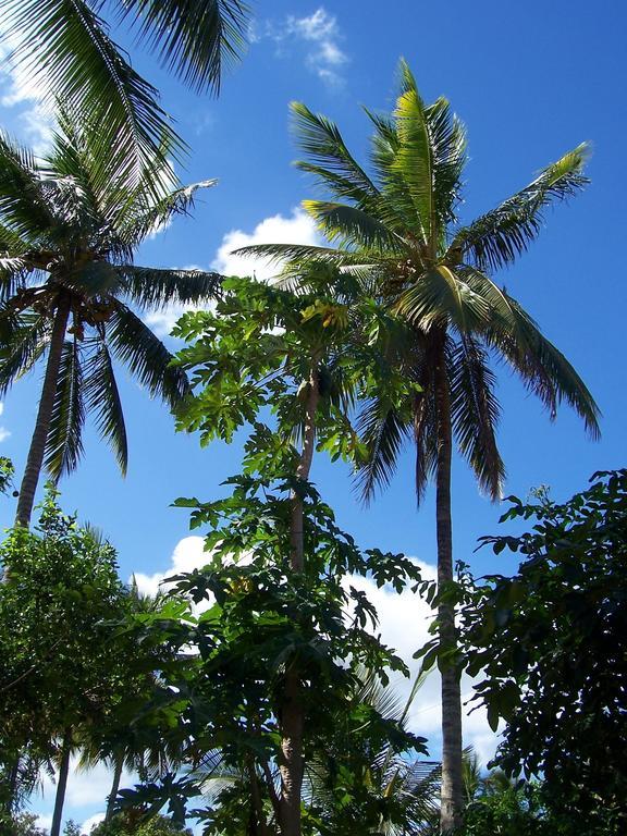 Blue Moon Beach Holiday Resort إنهامبان المظهر الخارجي الصورة